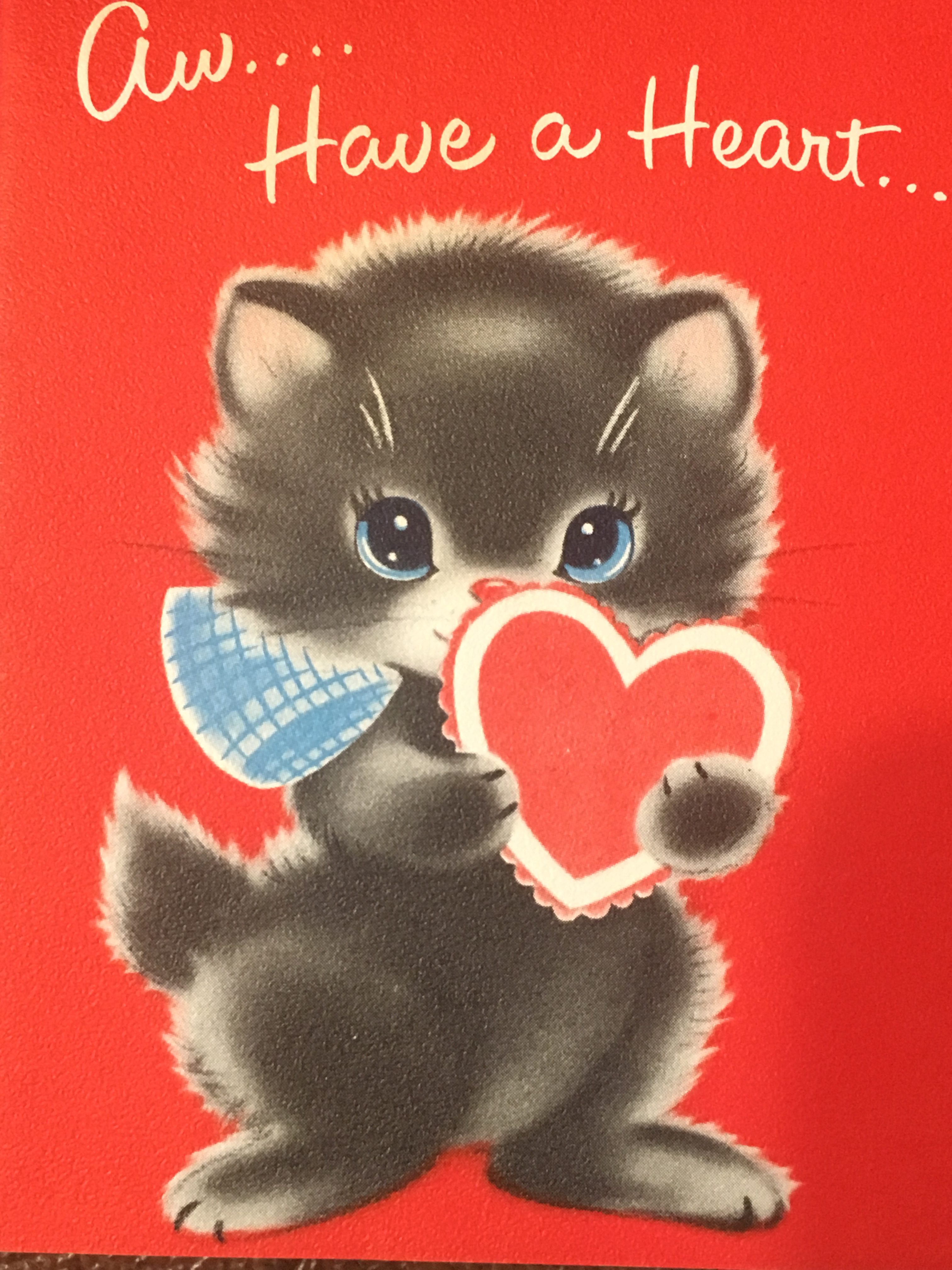 Valentines Day means Love for ALL!